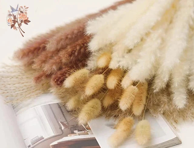 BotaniChic – Breng de natuur in huis met een stijlvol pampas bloemenboeket